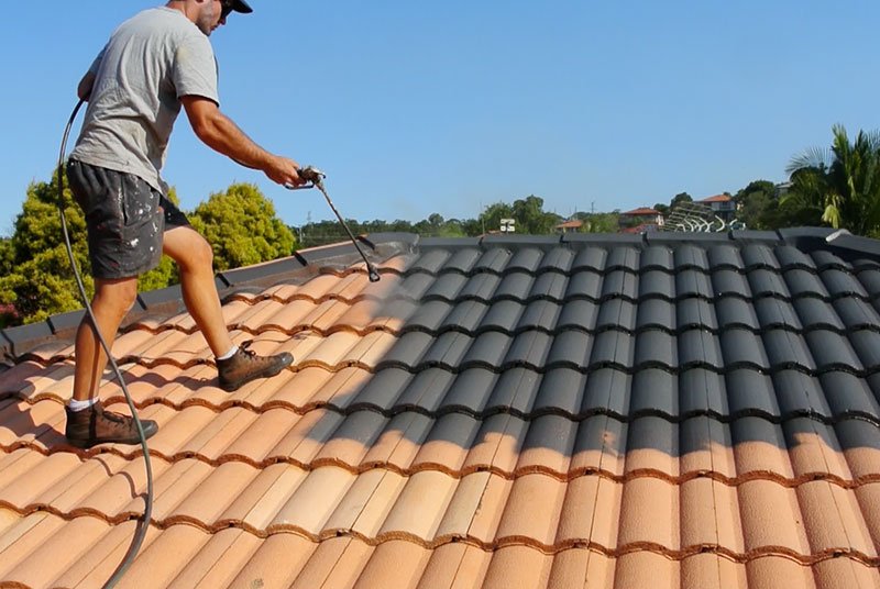 Roof Painting services