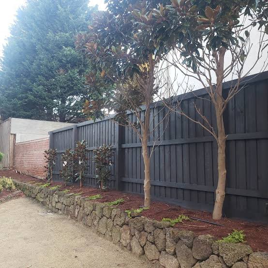 Fence Painting Services in West Footscray