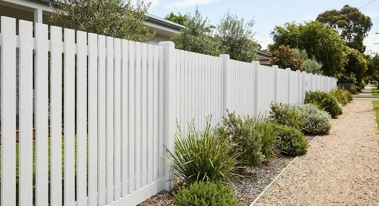 fence Painting Services in sunshine north