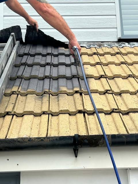 roof painting maidstone
